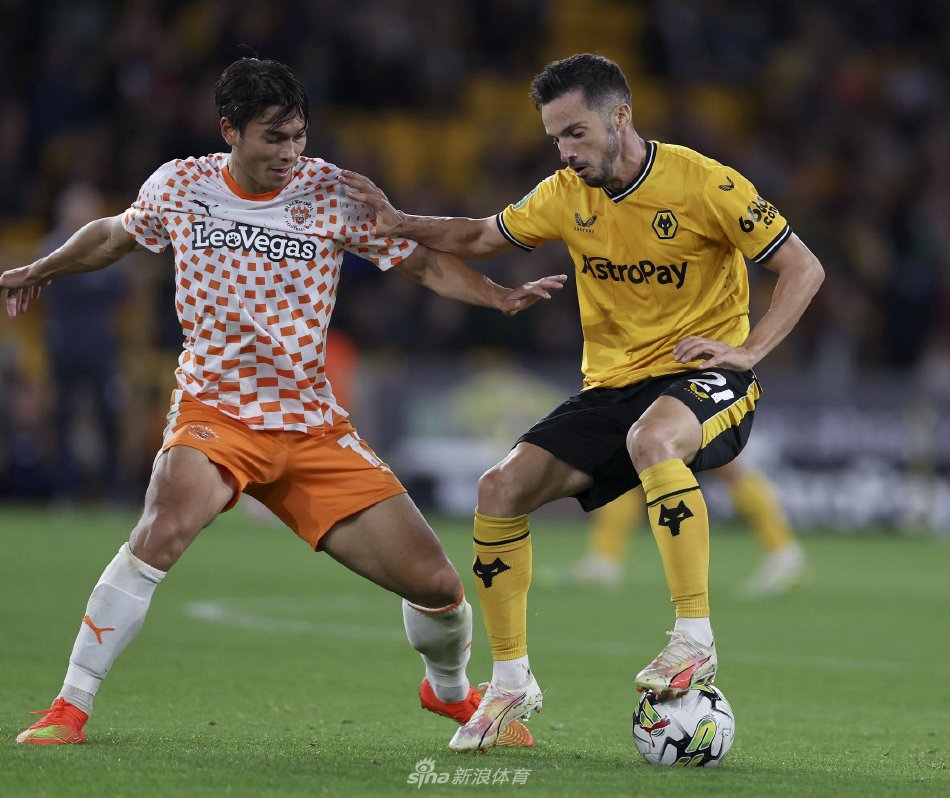 才新星崛起 才新星崛起